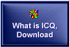 Just what IS ICQ?