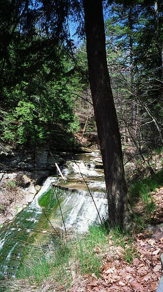 Wolf Creek Falls 5/99