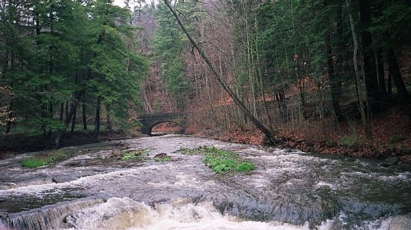 Wolf Creek 4/2000