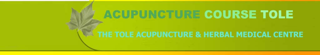 Acupuncture Course Tole Chinese Herbal Medicine Treatment Cure Centre