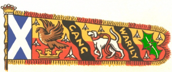 n heraldiese standaard of ruiteryvlag