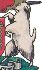 Angorabok-skildhouer in die wapen van Beaufort-Wes