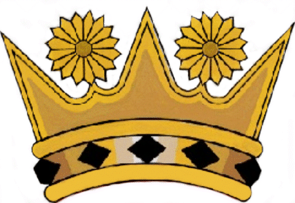 Barberton daisies in the crest/crown of Mpumalanga