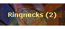 Ringnecks (2)
