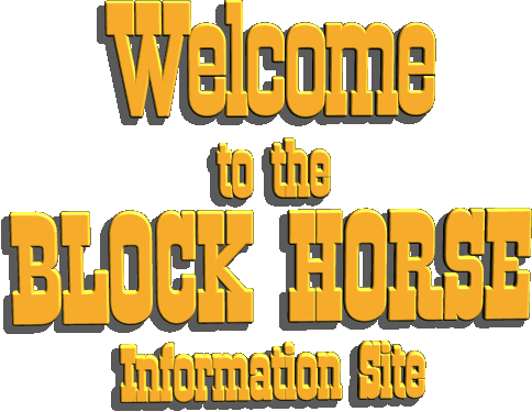 Welcome to the Block Horse information site