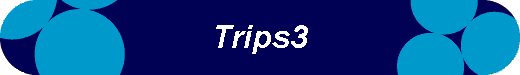  Trips3 