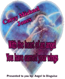Carey's Wings