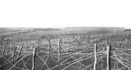 Eine der Ausgangspositionen der 5. deutschen Armee am 21. Feb. 1916, 1916
