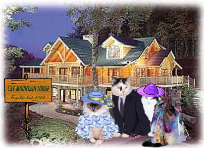 Cat Mountain Lodge
