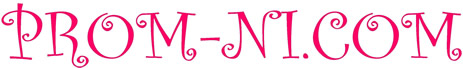 PROM-NI.com Logo