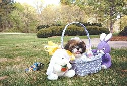 Pax's 1st Easter Basket