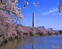 Washington, DC area landmark