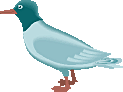 /clipart/pictures/Animals/gull.gif