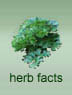 herb facts