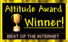 Attitude Award