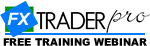 forex day trading training