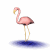 go to DC Flamingos Web Site