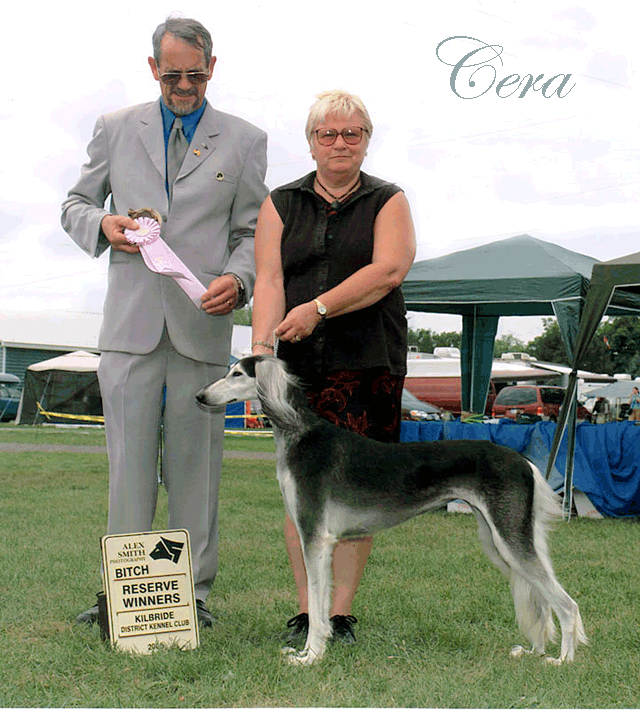Cera wins Reserve Winners Bitch at SCOC 2005