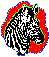 Zena Zebra, Colorado Springs