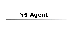 MS Agent