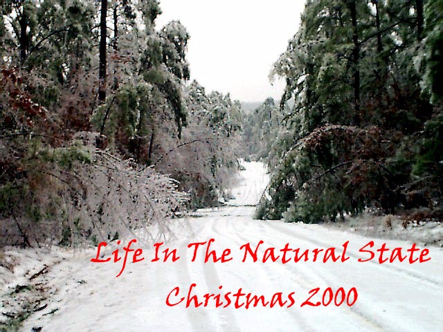 Click Here to read "Life In The Natural State", our on-line newsletter!