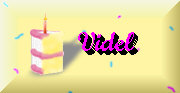 Videl's Birthday; June 19th, 2002