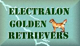 Electralon Golden Retrievers