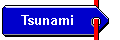 Tsunami Page
