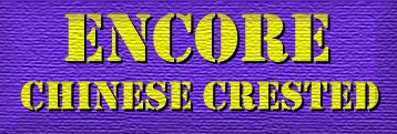 Encore Chinese Crested Breeders