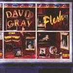 David Gray - Flesh Chords