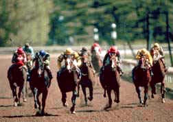Horse race in kentucky by bill straus