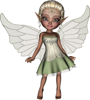 The Faeygirl's Fairy
