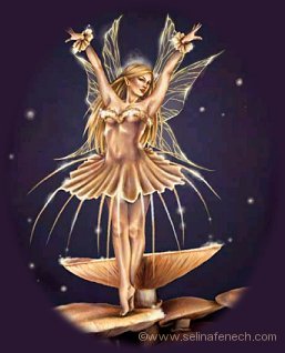 Main Fairy Dancer Graphic