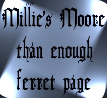 Millie's Moore Than Enough Ferret Page