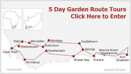 5 Day 4 Night Garden Route Tours from Cape Town