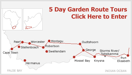 5 Day 4 Night Garden Route Tours from Port Elizabeth to Cape Town