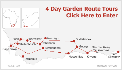 4 Day 3 Night Garden Route Tours from Cape Town