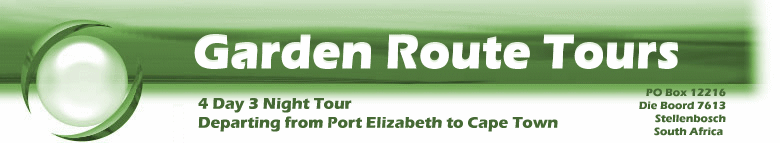4 Day 3 Night Garden Route Tours from Port Elizabeth to Cape Town