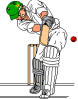 Play Cricket Online