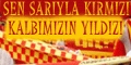 Galatasaray Resmi Sitesi