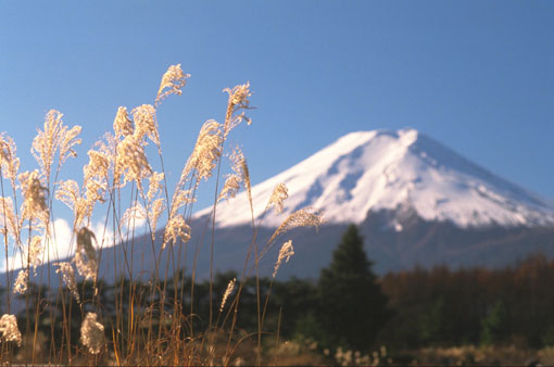 Fuji.jpg (38012 bytes)