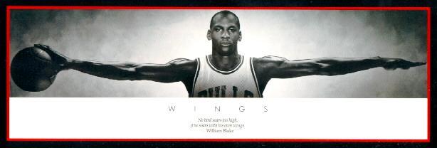 Michael Jordan: Wings