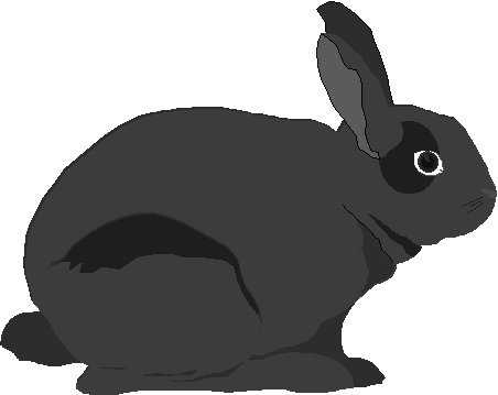 Rabbit.gif (4955 bytes)