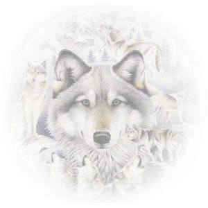 Lightwolf.jpg (8584 bytes)