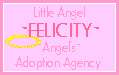 Angels Adoption Agency: