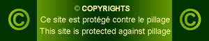 copyright protection.