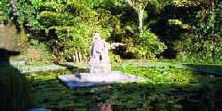 Statue at the Oasis