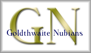 Goldthwaite Nubians Logo