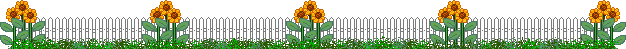 sunflowerfenceline.gif (7030 bytes)