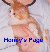 Honey's Page
